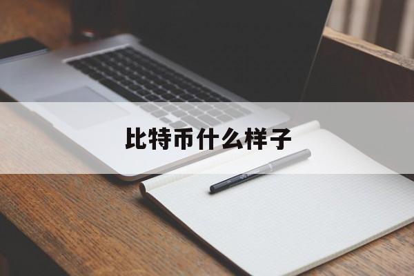 比特币什么样子(比特币什么样子图片)